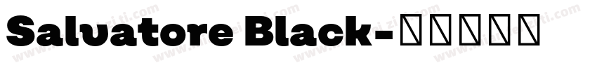 Salvatore Black字体转换